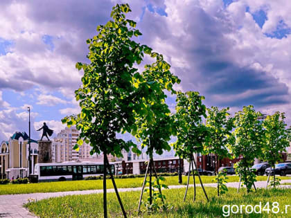 Атмосферный фронт удерживает в Липецкой области дождливую погоду