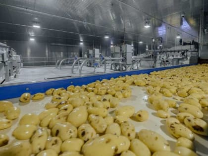 Липецкий производитель картофеля фри построил производственные корпуса второй линии завода