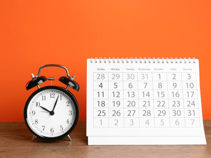 Сроки представления налоговой отчетности для предпринимателей и организаций