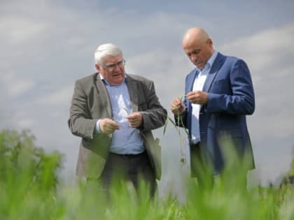 Начальник липецкого управления сельского хозяйства Олег Долгих уходит в отставку