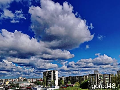 Заморозки продолжаются