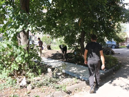 Благоустройство дворов в округе Бориса Понаморева