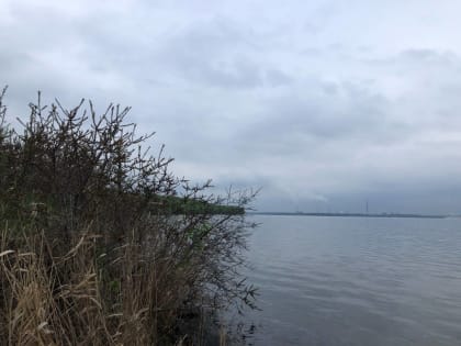 Похолодание до +16, сильный ветер и дождь в Липецке ждут в понедельник