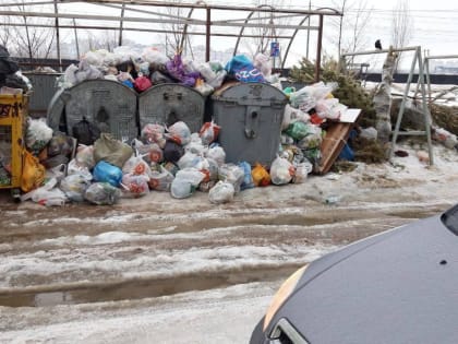 «Мусор не вывозили с прошлого года»