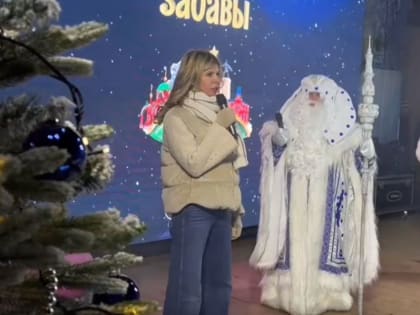 В Липецке зажгли новогоднюю ёлку