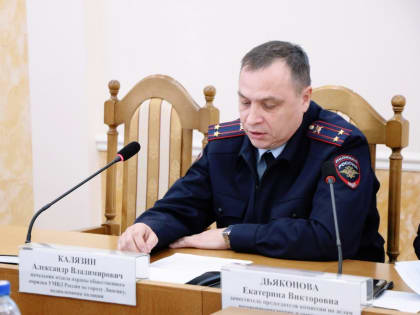 Депутаты обсудили меры по предупреждению домашнего насилия в Липецке