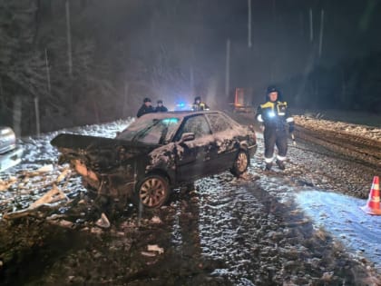 В тройной аварии в Добровском районе погиб водитель иномарки и пострадал несовершеннолетний