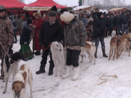 Праздник русской псовой охоты  ждет липчан