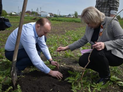 Добровские единороссы посадили деревья  в честь бойца, погибшего в ходе СВО