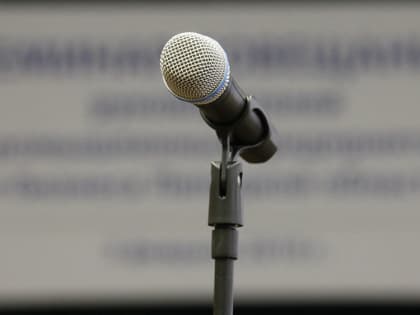 Выходные в Липецке: День кошек, музыкальная сказка, коварная погода и «фрик-пэтч»