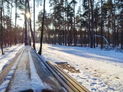 Последняя рабочая неделя января в Липецке будет морозной и бесснежной