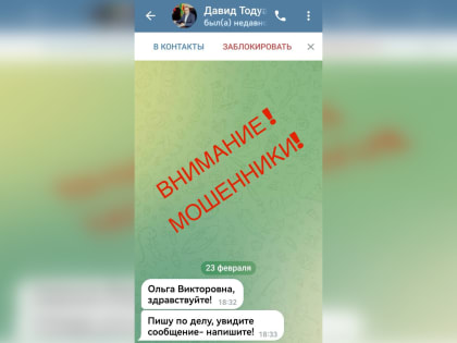 Фейковый аккаунт главы Липецкого района Тодуа в Телеграме создали мошенники