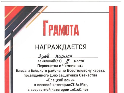 Здоровые и спортивные защитники Отечества – опора государства