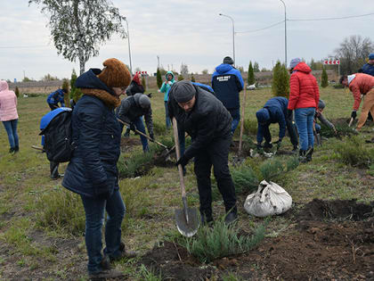 Будут расти не только заводы, но и деревья