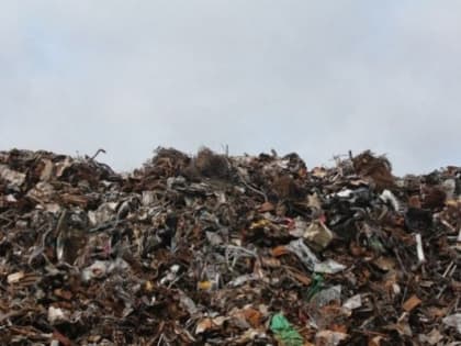 В Липецкой области документация на строительство мусорного полигона разработана с грубейшими нарушениями?