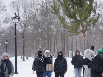 Чемпионат по метанию ёлок