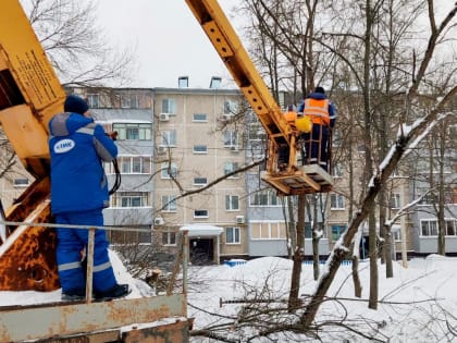 Городские службы Липецка взялись за пилы