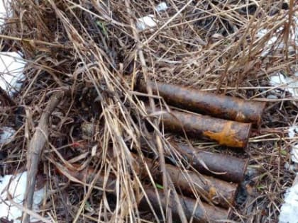 5 снарядов времён ВОВ нашли в деревне Липецкой области