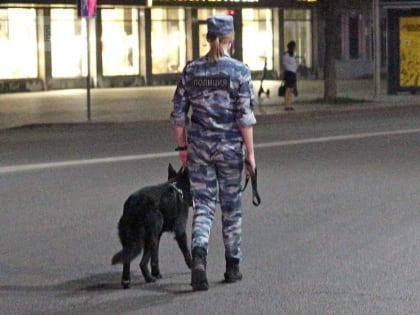 В Липецке рассылали опасные посылки с предметами, похожими на боеприпасы и записки с угрозами