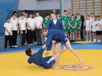В Елецком районе  состоялся  фестиваль «Самбо в школу»