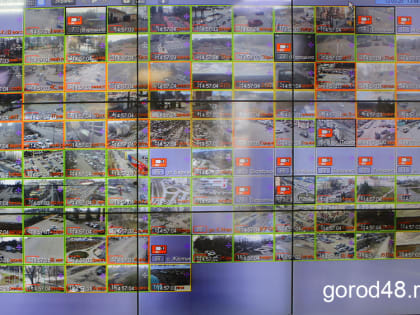 Шесть краж за один день: подозревают 22-летнюю москвичку