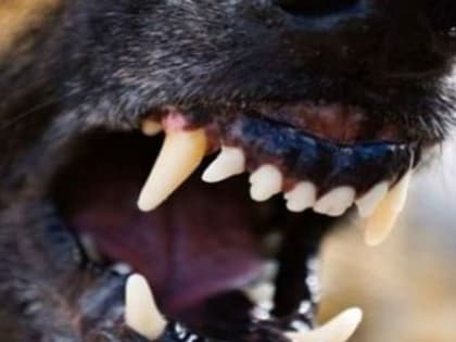 Проблемы рака легкого: факторы риска и профилактика