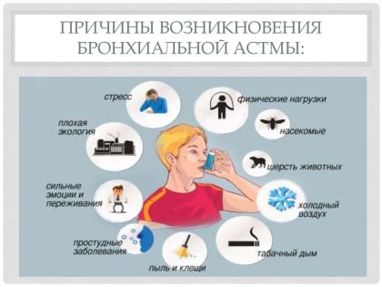 БРОНХИАЛЬНАЯ АСТМА: ПРОФИЛАКТИКА И ЛЕЧЕНИЕ