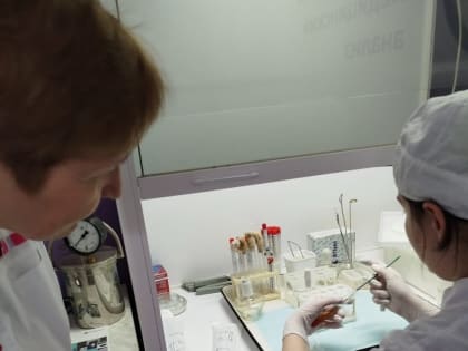 Готовимся к Чемпионату “Профессионалы”