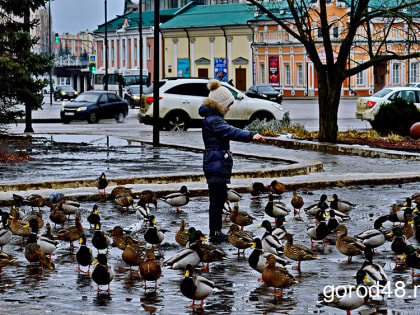 В Липецкой области потеплеет до +4