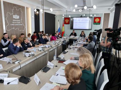 Участие в работе комитета Липецкого областного Совета депутатов