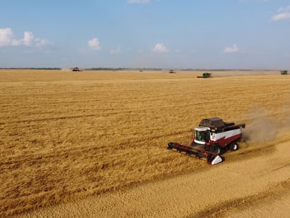 Первый миллион тонн зерна собран в Липецкой области