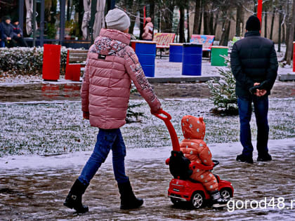 У липчан спросили о доступности соцобъектов и планах покупки электромобиля