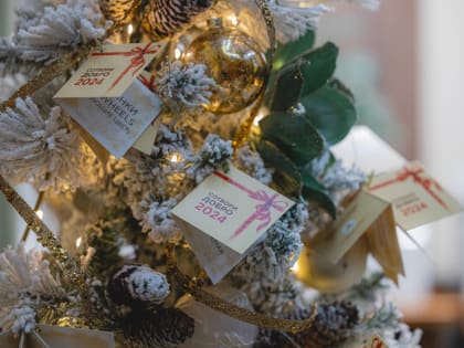 Липецкий губернатор пообещал подарить детям кота-батона, куклу и динозаврика 