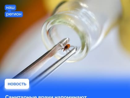 Почти 2,5 тысяч липчан стали жертвами клещей