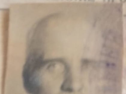 Медицина в семье проросла сквозь века