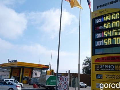 Статистика: за неделю дизель в Липецкой области подорожал почти на два рубля