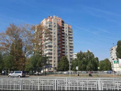 В Липецке за 5 млн рублей спилят деревья на территории Военного городка и проспекте Победы