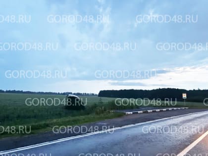Разгул стихии продолжается: дерево упало на газовую трубу, ветром унесло остановку в поле