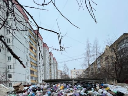 «Не вывозят мусор. Бегают крысы»: липчане жалуются на мусорные завалы во дворах