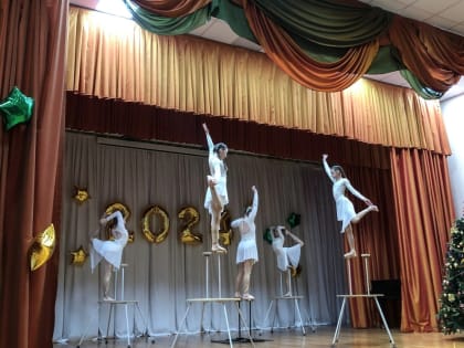 Депутаты горсовета организовали благотворительный концерт для детей участников СВО