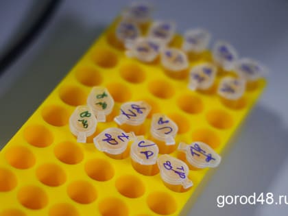 COVID снова наступает: число заболевших в Липецкой области растёт с каждым днём