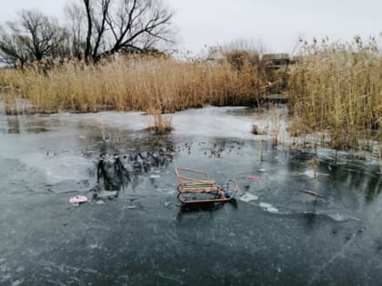 В Липецкой области утонули две девочки