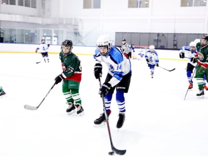 В Липецке уже два года тренируется команда по специальному хоккею «Снежные барсы»