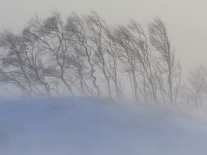 Экстренное предупреждение