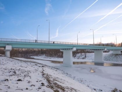 Данковские спасатели вытащили из воды спрыгнувшего с моста в Дон мужчину