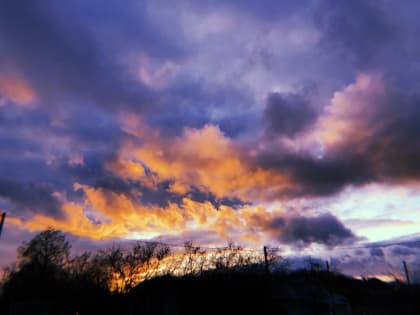 Потепление и дожди в Липецкой области ждут в среду