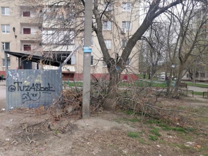 Нарушение содержания контейнерной площадки