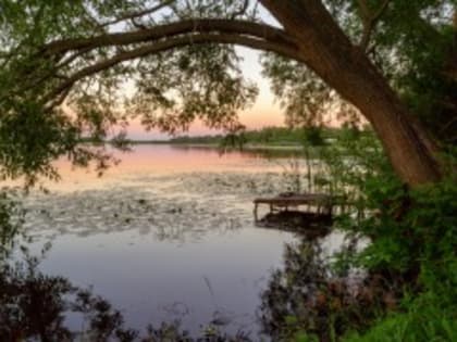 Подведены итоги регионального этапа Всероссийского конкурса юных фотолюбителей «Юность России». Лучшие юные фотографы Грязинского района.