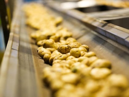 Lamb Weston Maijor вышла из российского бизнеса по производству картофеля фри.