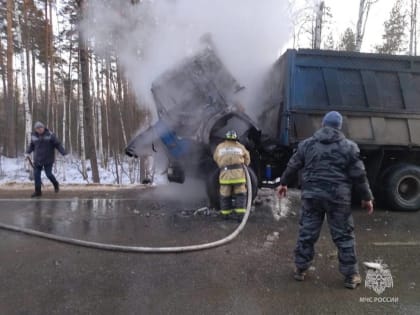Камаз сгорел в пожаре на трассе Доброе-Кривец в Липецкой области днем